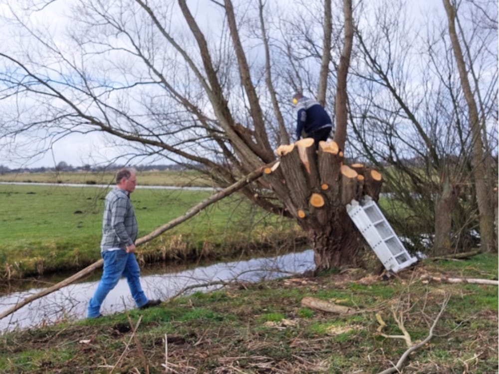 wilgen knotten landje breathwork medicine